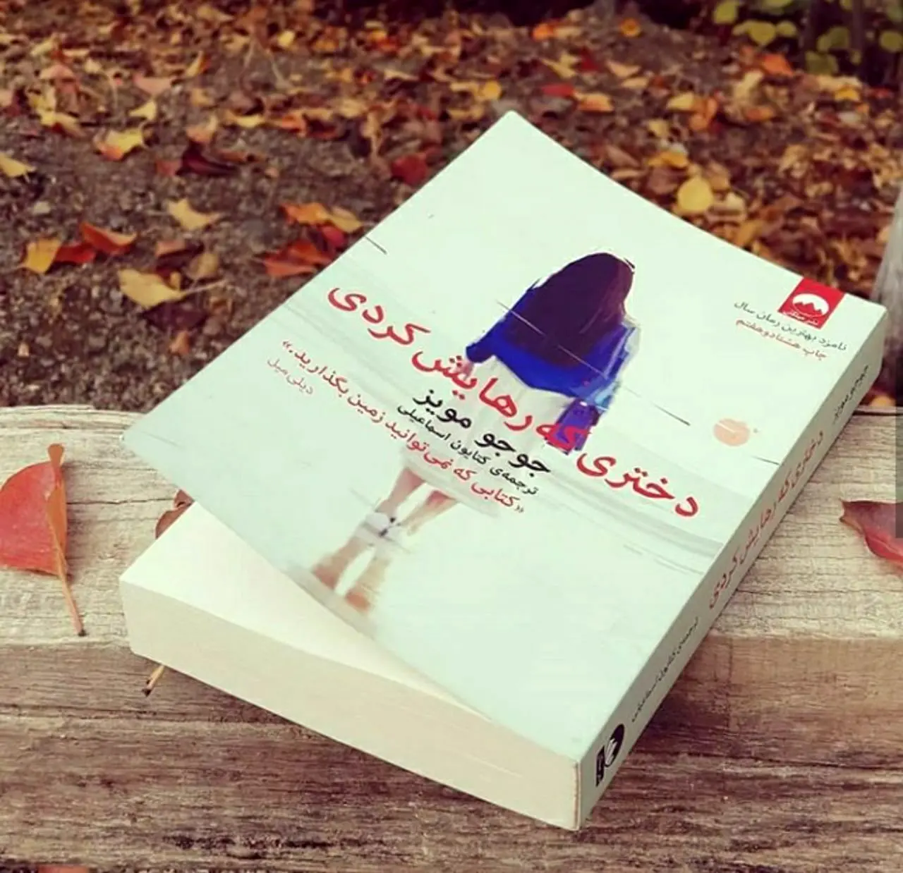 کتاب دختری که رهایش کردی نوشته جوجو مویز