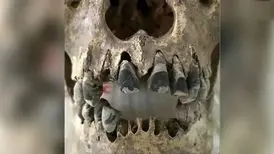 رسم عجیب سیاه کردن دندان در ویتنام