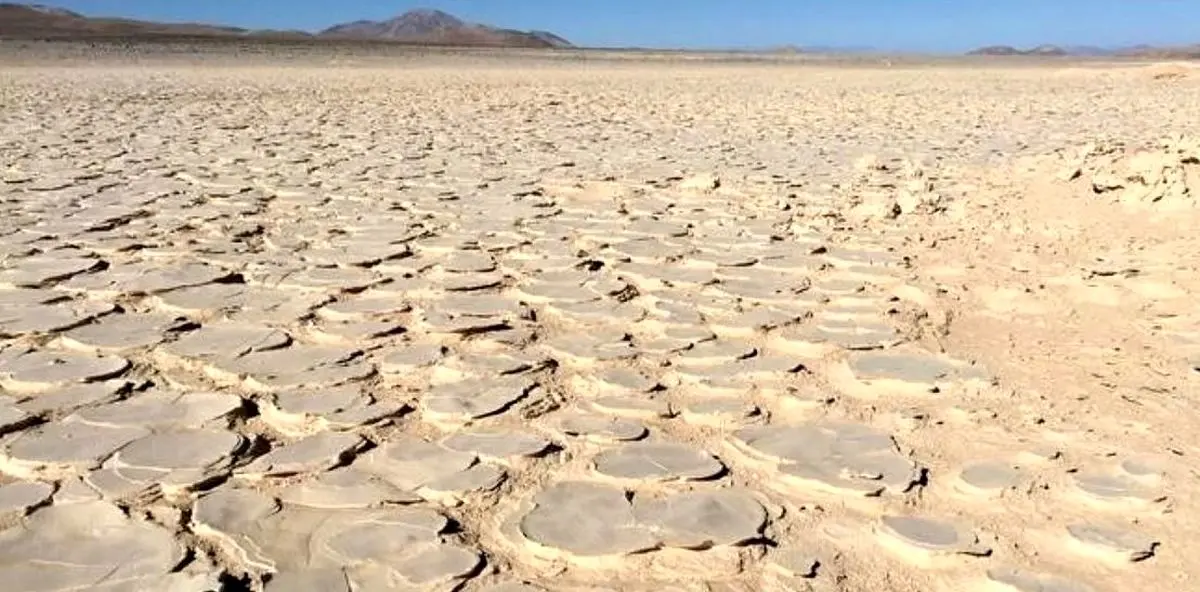 کشف یک «زیستگاه» عظیم در عمق چهار متری خشک‌ترین صحرای جهان
