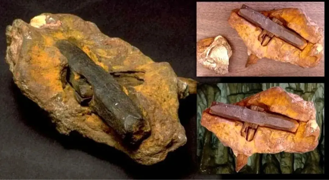 چکش نیم میلیون‌ ساله از استخوان فیل