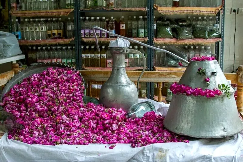 پرونده ثبت جهانی «گلاب‌گیری سنتی ایران» به یونسکو ارسال شد