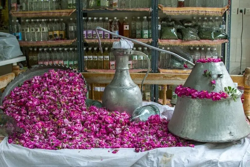 پرونده ثبت جهانی «گلاب‌گیری سنتی ایران» به یونسکو ارسال شد
