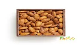بهترین آجیل برای کم خونی را بشناسید