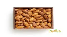 بهترین آجیل برای کم خونی را بشناسید