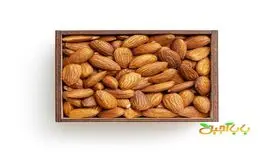 بهترین آجیل برای کم خونی را بشناسید