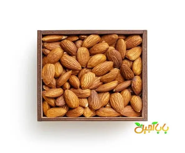 بهترین آجیل برای کم خونی را بشناسید