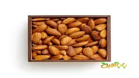 بهترین آجیل برای کم خونی را بشناسید