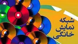 شبکه رسمی سینمای خانگی که هیچ، شبکه غیررسمی اش را هم تعطیل کنید

