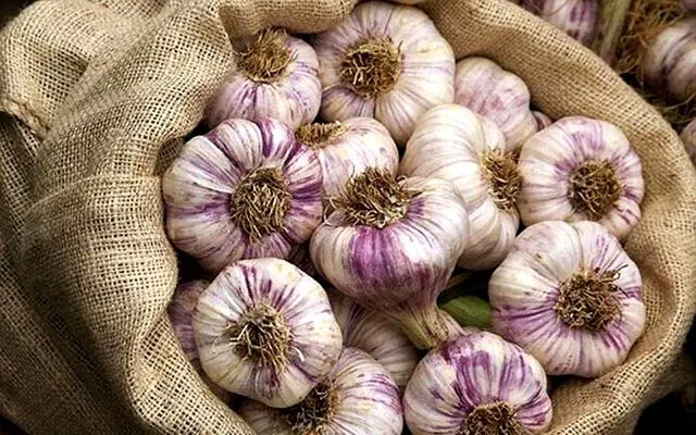 سیر همدان ثبت جهانی شد

