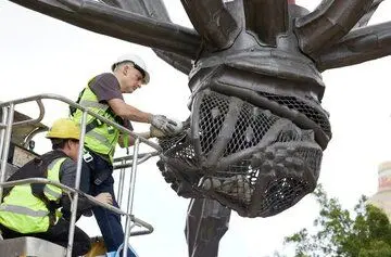 عنکبوت ۱۰ تُنی به سیدنی رسید
