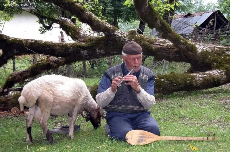 آهنگ محلی گیلکی بی کلام