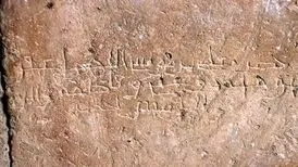 کشف دستخط امام رضا (ع) در شهر ساوه/ ویدئوی متن دستخط
