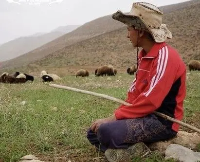 «تنها»یی ایرانیان مورد توجه آلمانی‌ها قرار گرفت