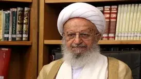 انتقاد آیت‌الله مکارم شیرازی از نرخ سود وام سفر اربعین
