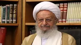 انتقاد آیت‌الله مکارم شیرازی از نرخ سود وام سفر اربعین
