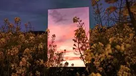 استراتژی گاو بنفش تنها راه حل نجات تجارت و بیزینس شما!