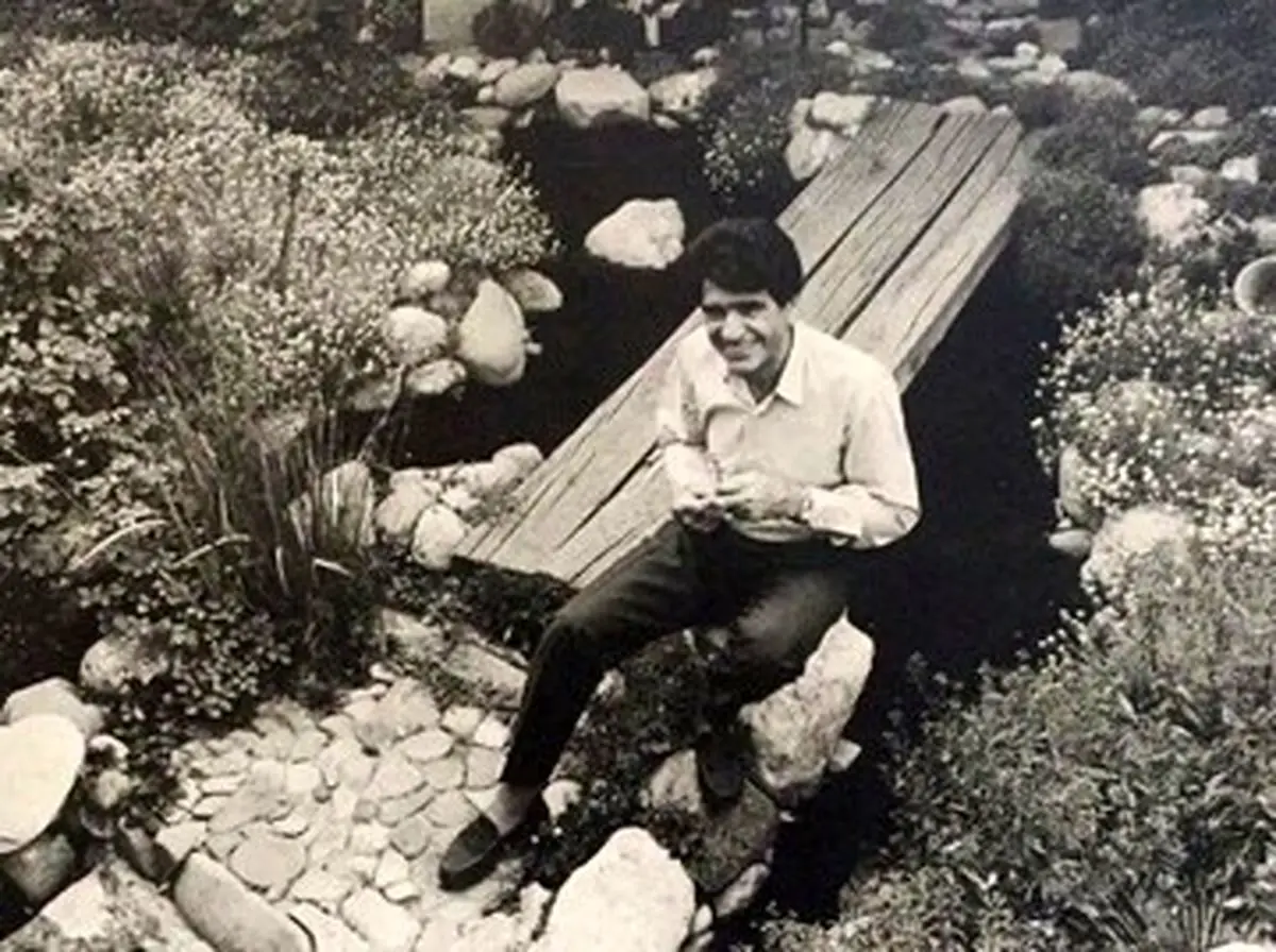 تبلیغی برای کنسرت سیاوش (محمدرضا) شجریان در سال ۱۳۵۸/ عکس
