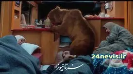 خرس پایتخت واقعی بود؟؛ پشت‌پرده سکانس دلهره‌آور پایتخت۷