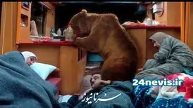 خرس پایتخت واقعی بود؟؛ پشت‌پرده سکانس دلهره‌آور پایتخت۷