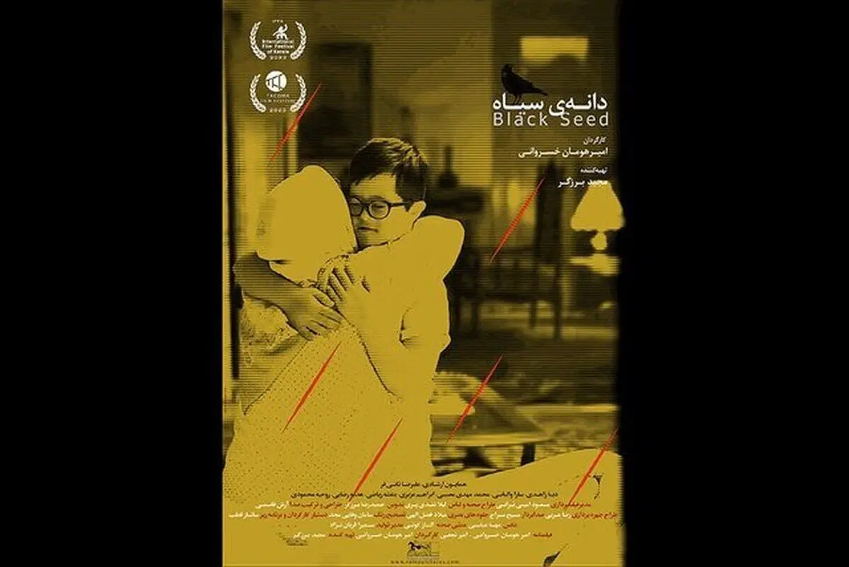 «دانه‌ سیاه» برگزیده جشنواره آمریکایی
