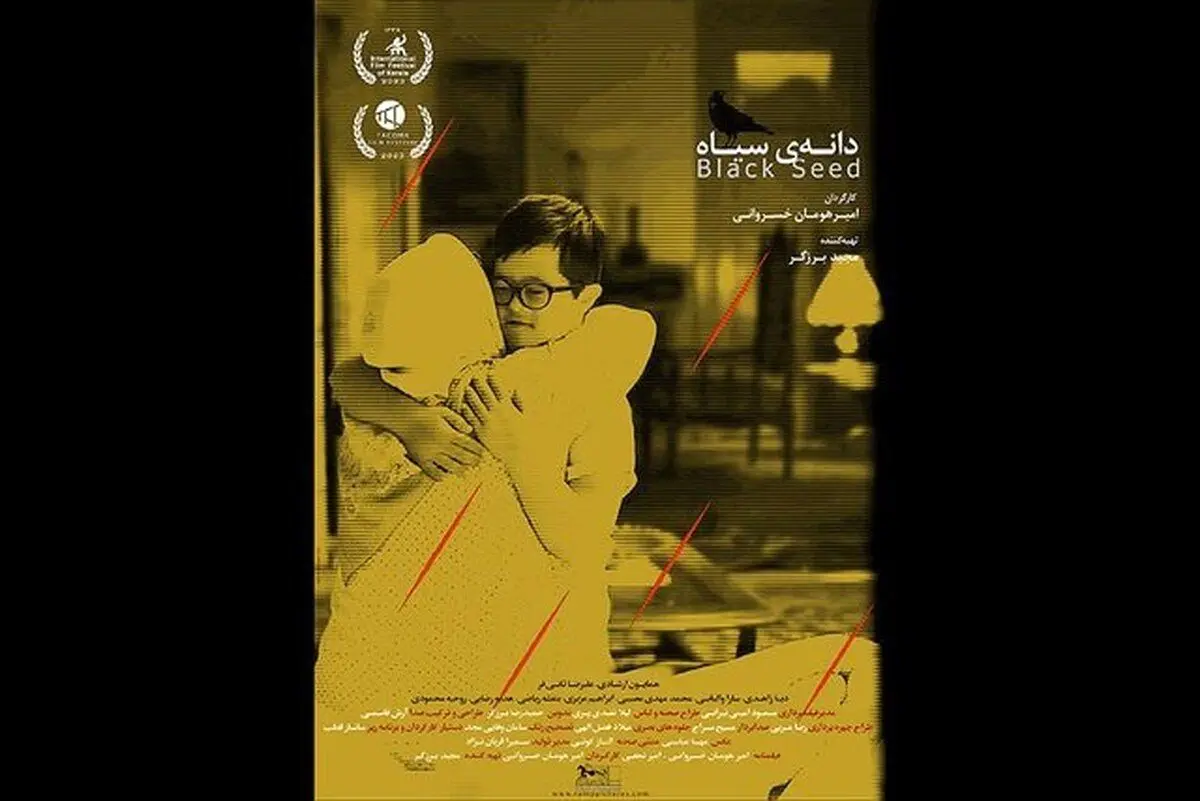 «دانه‌ سیاه» برگزیده جشنواره آمریکایی
