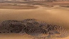 تجربه یلدای کویری در مثلث برمودای ایران + عکس