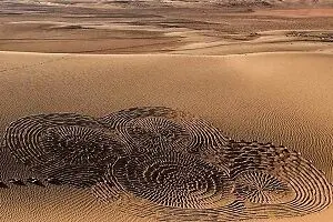 تجربه یلدای کویری در مثلث برمودای ایران + عکس