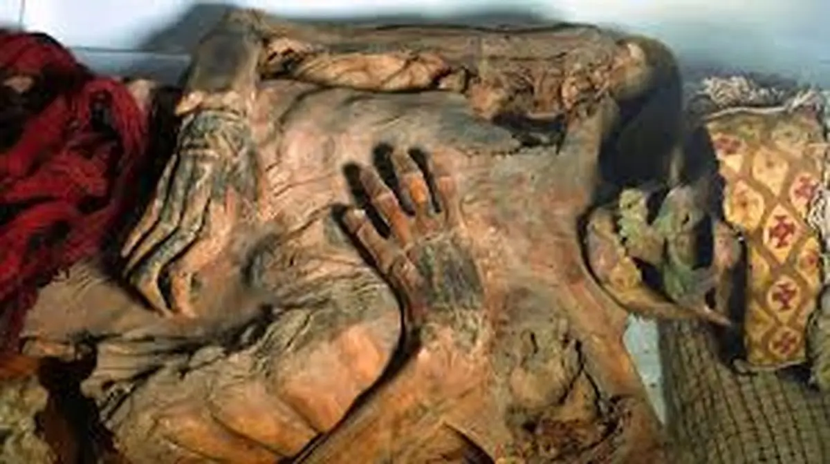 دانشمندان الگوی ماهرانه خالکوبی مومیایی ۸۰۰ساله پرو را که با تتوهای امروزی رقابت می‌کند، کشف کردند
