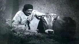 «گاو» با چند هزار تومان ساخته شد؟
