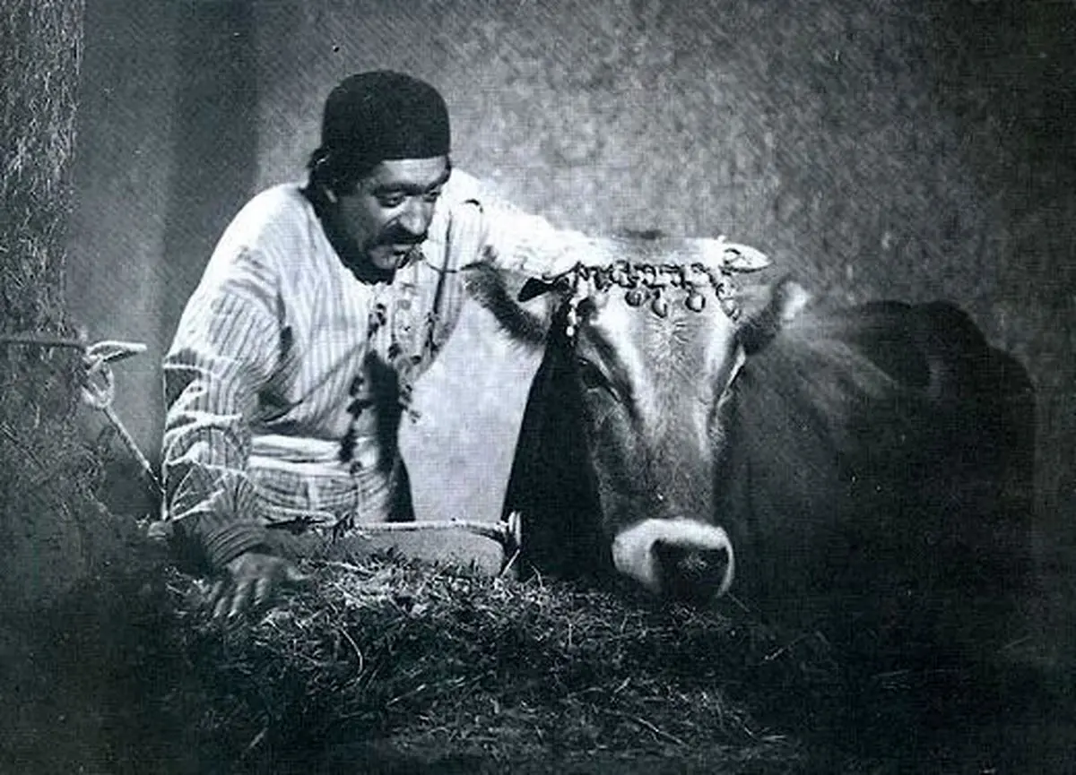 «گاو» با چند هزار تومان ساخته شد؟
