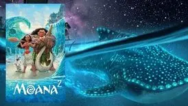 روز جمعه کدام انیمیشن‌ها را تماشا کنیم؟

