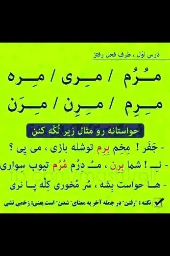 چرا مشهدی ها خجالت می کشند با لهجه خودشان حرف بزنند؟