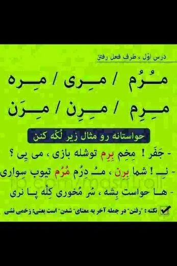چرا مشهدی ها خجالت می کشند با لهجه خودشان حرف بزنند؟