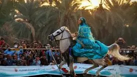 فستیوال اسب اصیل ایرانی  + عکس 