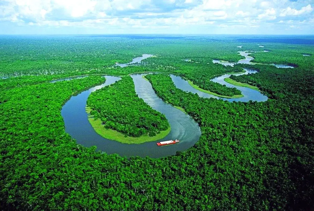 کشف یک شهر گم‌ شده‌ زیر سایه درختان در قلب جنگل های آمازون!
