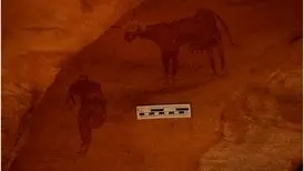 کشف سنگ‌نگاره‌های باستانی در صحرای سوزان؛ یادگاران دورانی سرسبز در ۴ هزار سال پیش