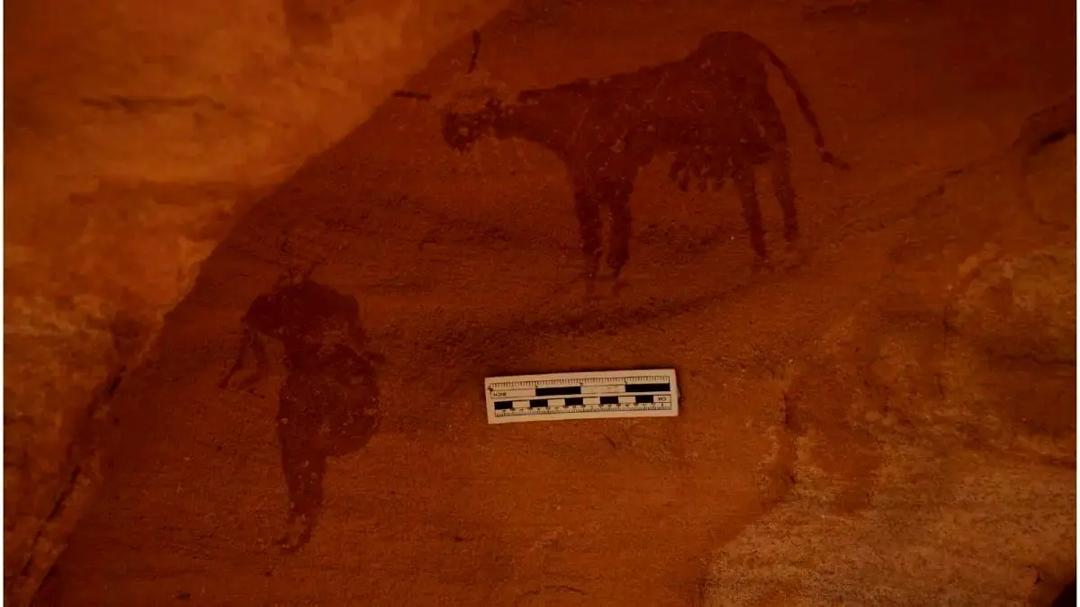 کشف سنگ‌نگاره‌های باستانی در صحرای سوزان؛ یادگاران دورانی سرسبز در ۴ هزار سال پیش