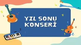 دستمزد گران ترین خوانندگان ترکیه چقدر است؟/ عکس
