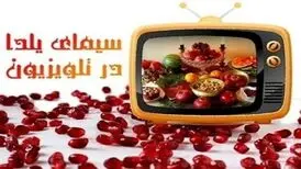 تلویزیون و یلدا/ از بازگشت «چهل‌تیکه» تا مادرانه شبکه سه
