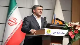 ظرفیت سالانه ۲ میلیارد دلاری نظام بانکی برای تأمین مالی پتروشیمی‌ها
