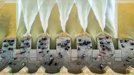 افتخار آفرینی دو عکاس ایرانی در دنیا