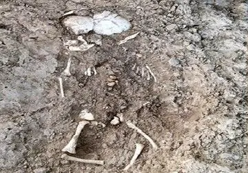 کشف اسکلت نوزاد چند ماهه در دیوار/ گل‌های پخته‌شده در کاوش‌های تپه سیلک بدست آمد