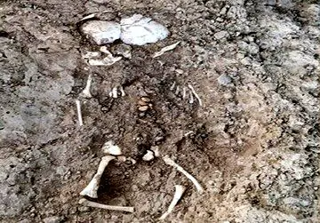 کشف اسکلت نوزاد چند ماهه در دیوار/ گل‌های پخته‌شده در کاوش‌های تپه سیلک بدست آمد