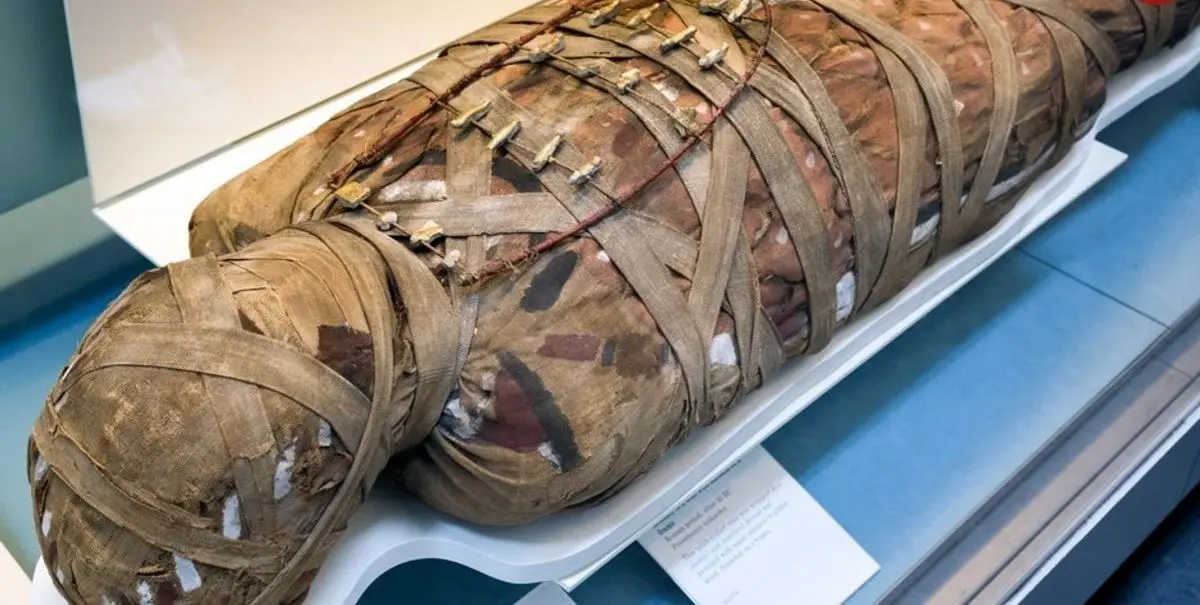 راز چندش‌آور مومیایی‌های مصر باستان
