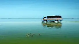 نقد جالب الکس هیلی بر فیلم «بندر بند»/ این سیل جعلی نیست!