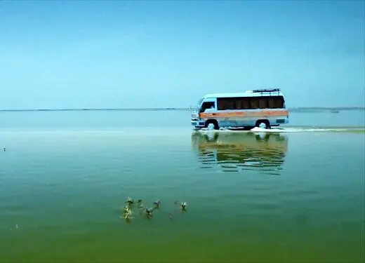 نقد جالب الکس هیلی بر فیلم «بندر بند»/ این سیل جعلی نیست!