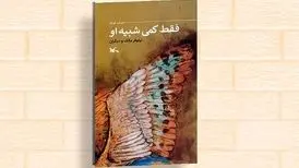 کتاب «فقط کمی شبیه او» منتشر شد