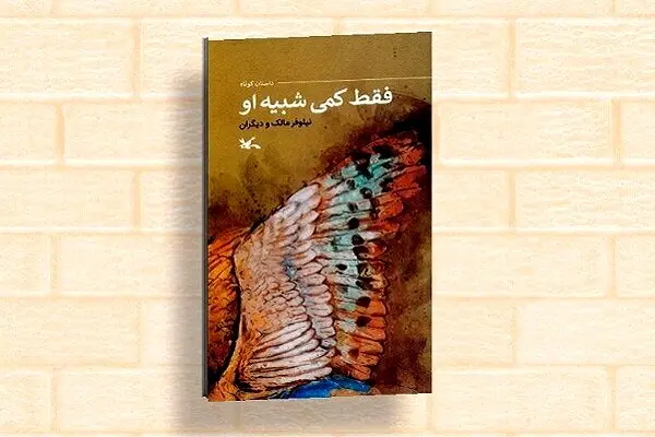 کتاب «فقط کمی شبیه او» منتشر شد