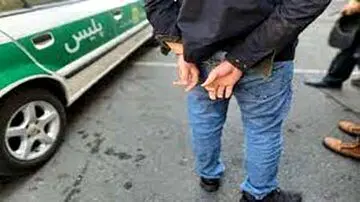 سارق، خانم بازیگر را روانه بیمارستان کرد / عکس
