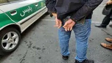 سارق، خانم بازیگر را روانه بیمارستان کرد / عکس
